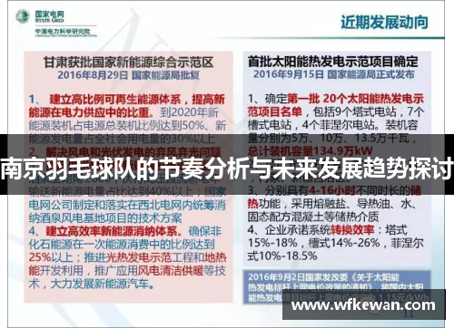 南京羽毛球队的节奏分析与未来发展趋势探讨