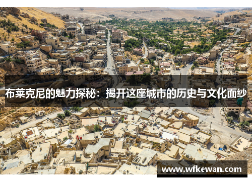 布莱克尼的魅力探秘：揭开这座城市的历史与文化面纱
